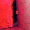 197 – Vin d’ivresse
